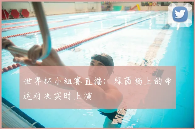 世界杯小组赛直播:绿茵场上的命运对决实时上演