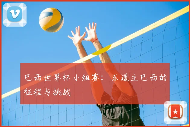 巴西世界杯小组赛：东道主巴西的征程与挑战