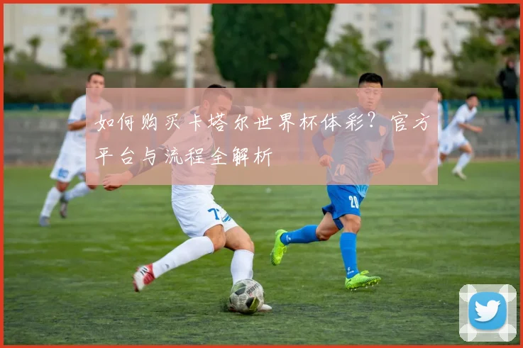 如何购买卡塔尔世界杯体彩？官方平台与流程全解析