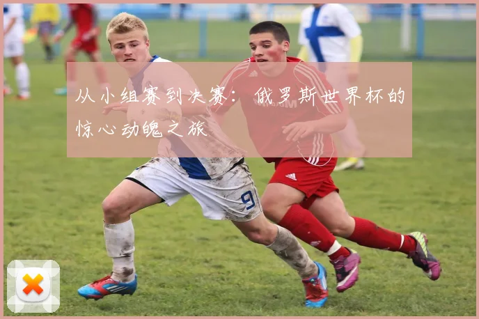从小组赛到决赛：俄罗斯世界杯的惊心动魄之旅