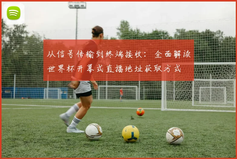 从信号传输到终端接收：全面解读世界杯开幕式直播地址获取方式