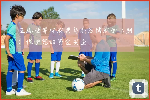 正规世界杯彩票与非法博彩的区别：保护您的资金安全