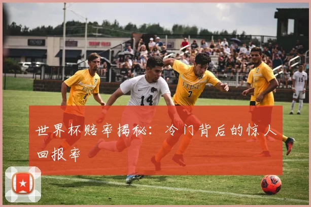 世界杯赔率揭秘：冷门背后的惊人回报率